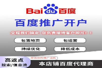 某品牌SEM推广策略的成效与启示